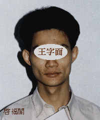 王字面五行属混合形