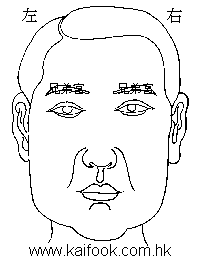 面相算命图解之面相之十二宮