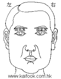 面相算命图解之面相之十二宮