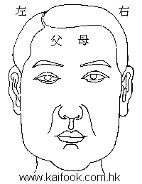面相算命图解之面相之十二宮