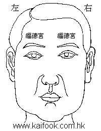 面相算命图解之面相之十二宮