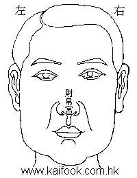 面相算命图解之面相之十二宮