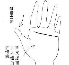 女人面相算命图解
