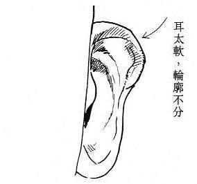 女人面相算命图解
