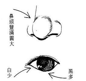 女人面相算命图解