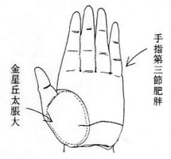 女人面相算命图解