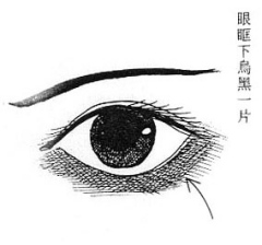 女人面相算命图解