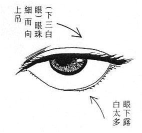 女人面相算命图解