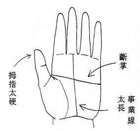 女人面相算命图解