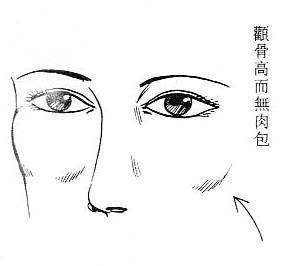 女人面相算命图解
