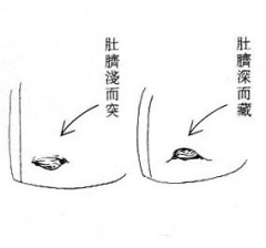 女人面相算命图解