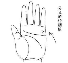女人面相算命图解