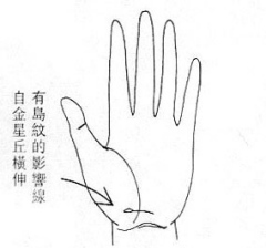 女人面相算命图解