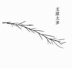 女人面相算命图解