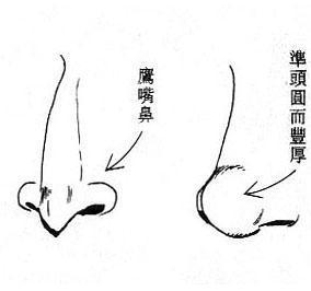 女人面相算命图解