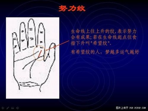 手相算命图解之各种纹路的识别与看法8