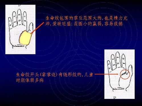手相算命图解之生命线的识别与看法