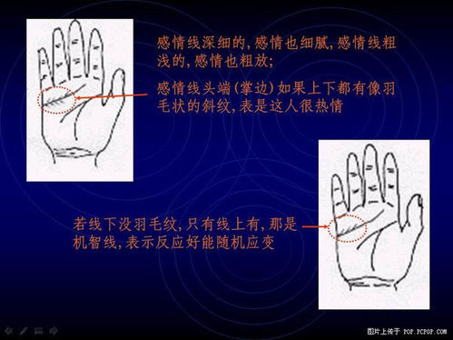 手相算命图解之感情线的识别与看法3