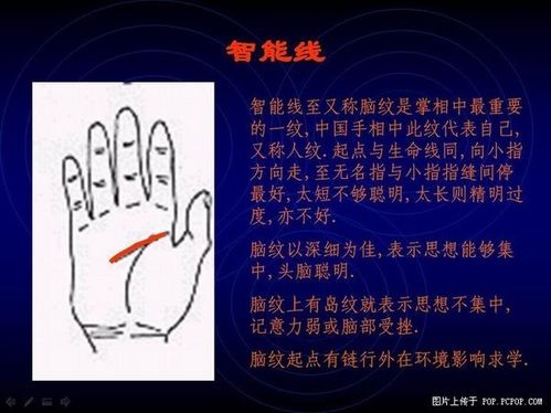 手相算命图解之智能线