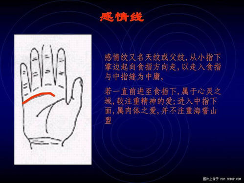 手相算命图解之感情线的识别与看法