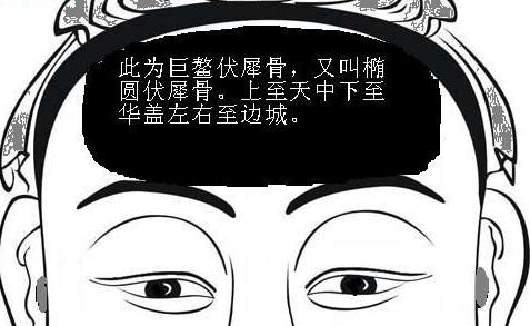 巨鳌伏犀骨