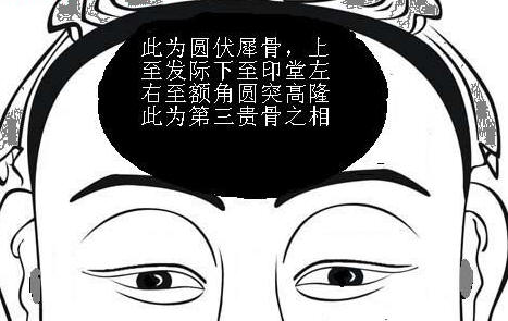 武库伏犀骨