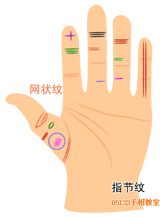 手指纹路巧看命