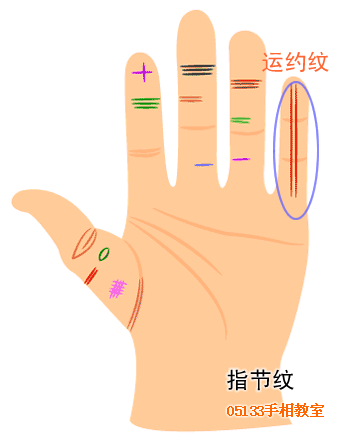 手指纹路巧看命