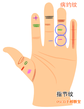 手指纹路巧看命