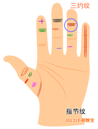 手指纹路巧看命