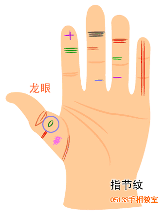 手指纹路巧看命