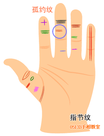 手指纹路巧看命