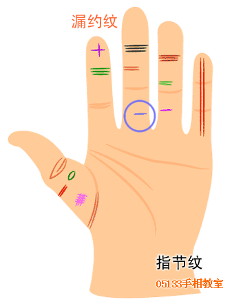 手指纹路巧看命