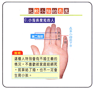 比较小指的长度