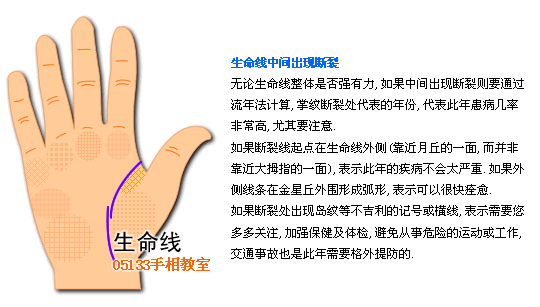 生命线图解 生命线分叉