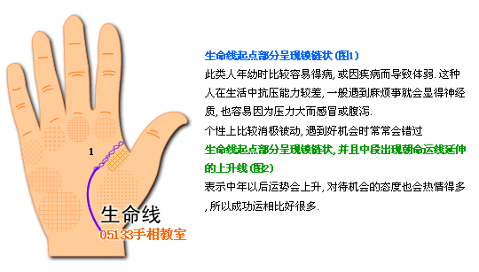 生命线图解 生命线分叉