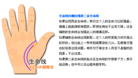 生命线图解 生命线分叉