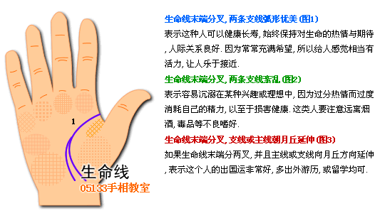 生命线图解 生命线分叉