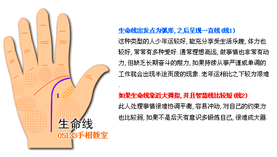 生命线图解 生命线分叉
