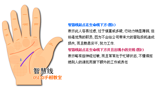 智慧线图解看个性
