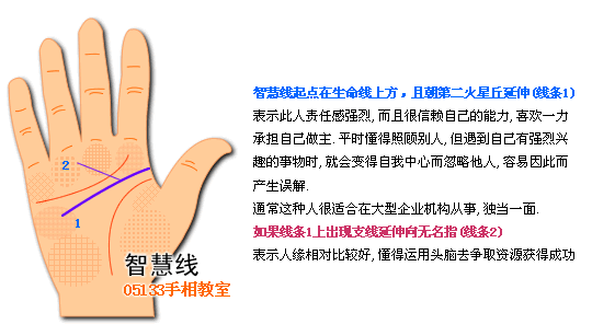智慧线图解看个性