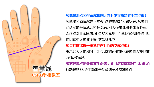 智慧线图解看个性