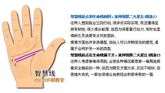 智慧线图解看个性