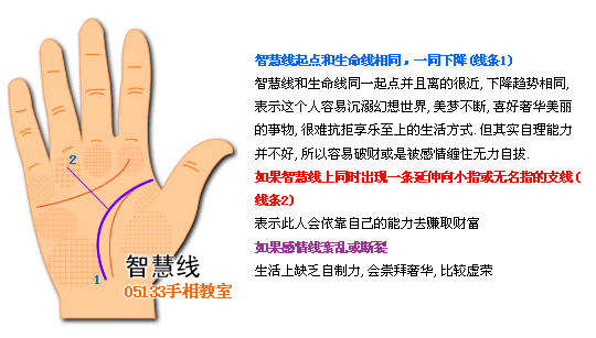 智慧线图解看个性