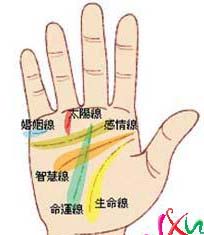 最详细的女人手相图解