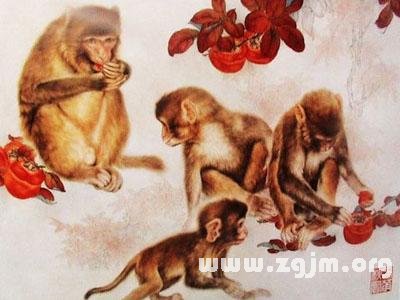 12生肖出生月与婚配