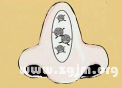 男鼻头大鼻翼宽面相