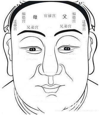 额头有青筋面相图解