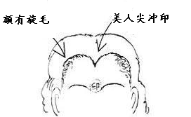 面相额头图解