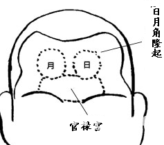 面相额头图解